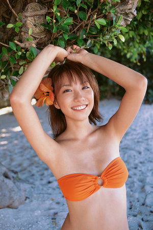 天博平台(中国)官方网站