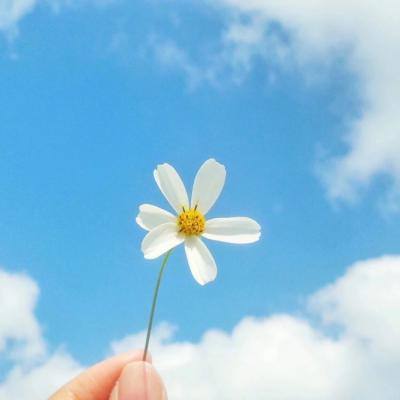 江南体育·(JN)官方网站