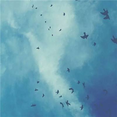 半岛手机综合体育官方下载