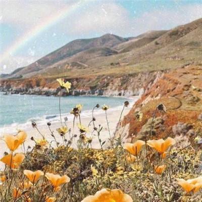 Bsport体育最新版