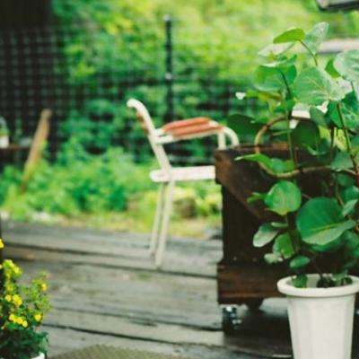 蛋蛋28开奖结果官方