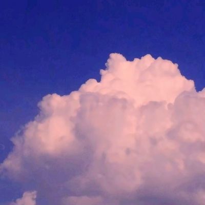 金年会官网手机版下载