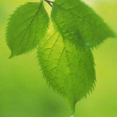 天博tb·体育综合下载手机版