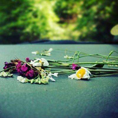 半岛·综合手机app下载