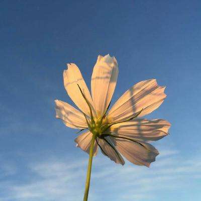 户员可以补办户口吗