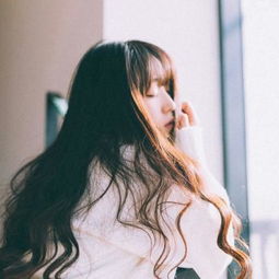 pg电子最新网站入口