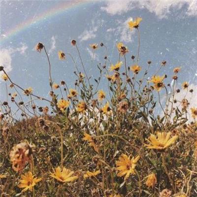 乐鱼平台app下载官网截图