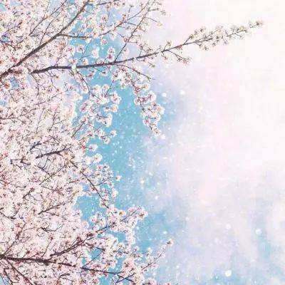 域网棋牌游戏手机app下载