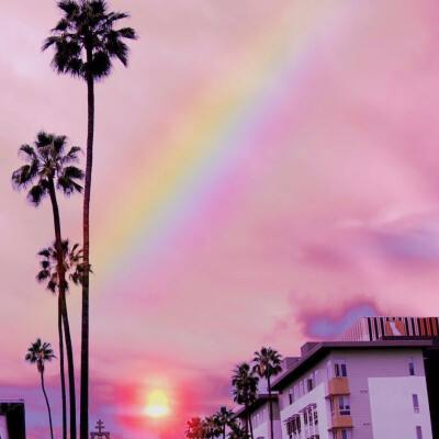 乐鱼app登录入口下载手机版