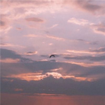 万博manbetx登录手机app下载