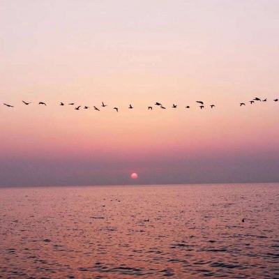 威尼斯官方网址下载