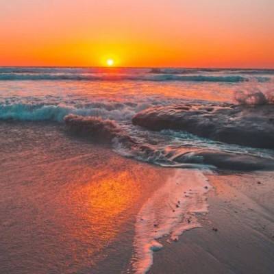 大发彩票手机app下载