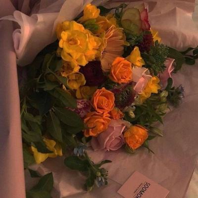 足球竞彩app下载手机版