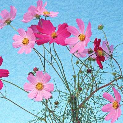 博鱼app下载手机版