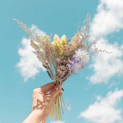 lol外围购买网站