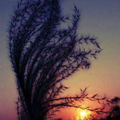 江南体育app下载