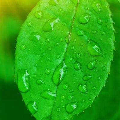 kok中欧登录入口