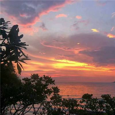 美高梅网址下载手机版