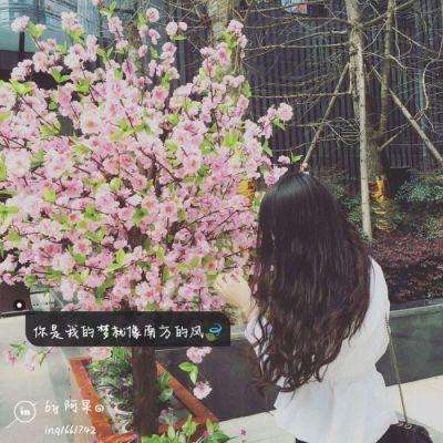 足球赌注软件截图