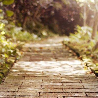 bob手机网页版登录入口