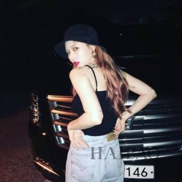 2023澳门资料大全正版下载手机版