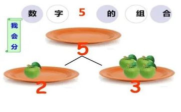 14的分解和组成的教案最新7篇