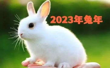 2023村个人工作总结推荐8篇