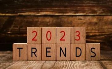 2023售后个人述职报告精选5篇