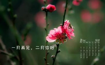 销售2月份工作计划5篇