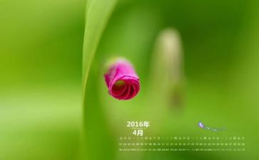 4月保安工作计划8篇