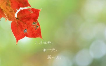 幼儿园中班9月工作总结6篇