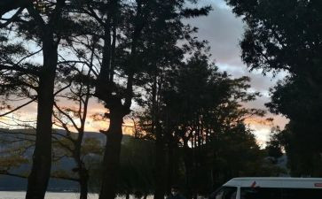 彼岸瞳读后感推荐8篇
