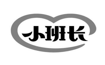 2024保安班长年终总结6篇