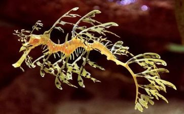生物技术实习报告7篇