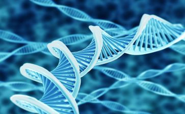 生物组调查报告6篇