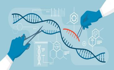 初中七上生物工作计划精选6篇