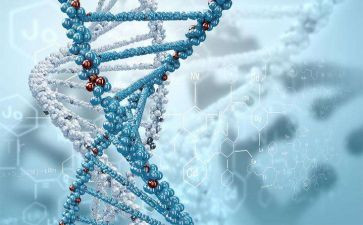 生物实验的心得体会范文7篇