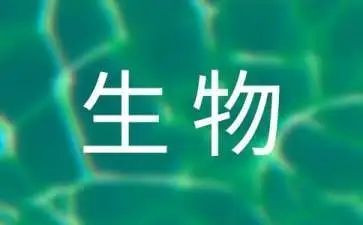 生物组工作总结优质5篇
