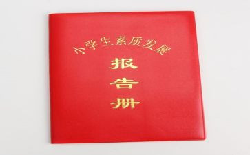 报告册心得体会参考6篇