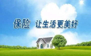 年终银行保险工作总结5篇