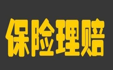 保险学实习报告最新7篇