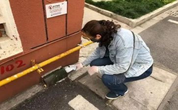 2病媒生物防制工作计划6篇