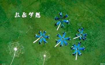 毕业跟踪调查报告7篇