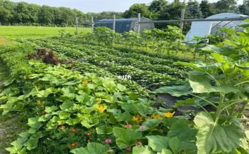 妈妈做的菜作文模板6篇