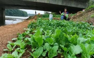介绍菜的演讲稿通用5篇