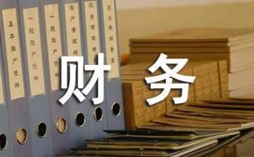 财务上的内部工作计划5篇
