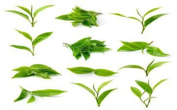 下午茶的活动方案7篇