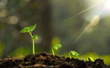 成长励志类作文优质6篇