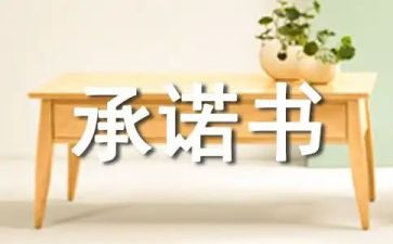 投标服务承诺书优秀5篇