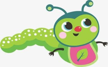 灭害虫教案6篇
